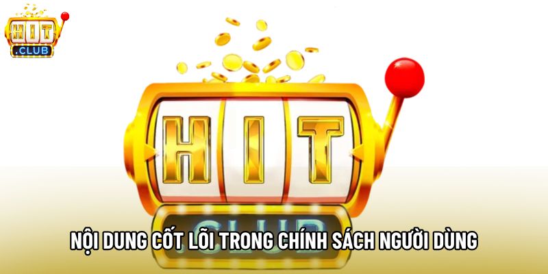 Nội dung cốt lõi trong chính sách người dùng Nội dung cốt lõi trong chính sách người dùng